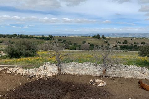 Landejendom i Rosolini, Siracusa, Rosolini - € 230.000 | Ref: RN 02 - foto 28
