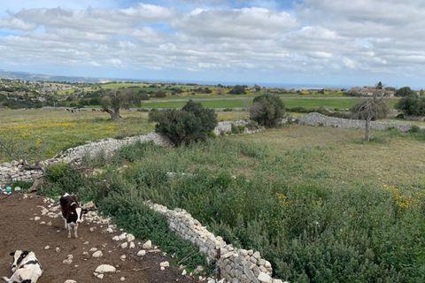 Landejendom i Rosolini, Siracusa, Rosolini - € 230.000 | Ref: RN 02 - foto 31