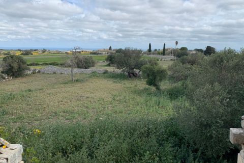 Landejendom i Rosolini, Siracusa, Rosolini - € 230.000 | Ref: RN 02 - foto 32