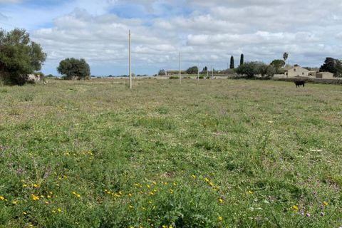 Landejendom i Rosolini, Siracusa, Rosolini - € 230.000 | Ref: RN 02 - foto 33