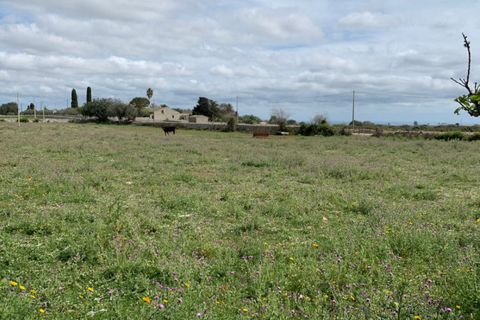 Landejendom i Rosolini, Siracusa, Rosolini - € 230.000 | Ref: RN 02 - foto 34