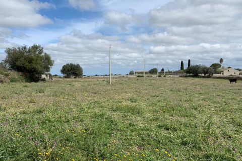 Landejendom i Rosolini, Siracusa, Rosolini - € 230.000 | Ref: RN 02 - foto 35
