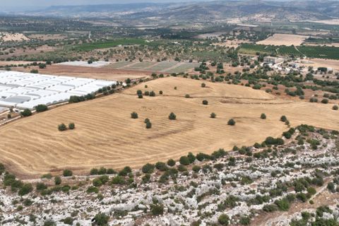 Helårsgrund i Noto, Siracusa, Noto - € 1.000.000 | Ref: L 1758 A - foto 2
