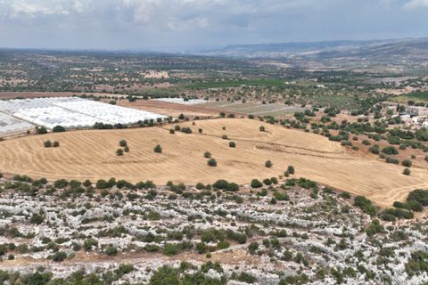 Helårsgrund i Noto, Siracusa, Noto - € 1.000.000 | Ref: L 1758 A - foto 4