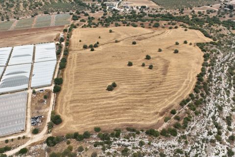 Helårsgrund i Noto, Siracusa, Noto - € 1.000.000 | Ref: L 1758 A - foto 5