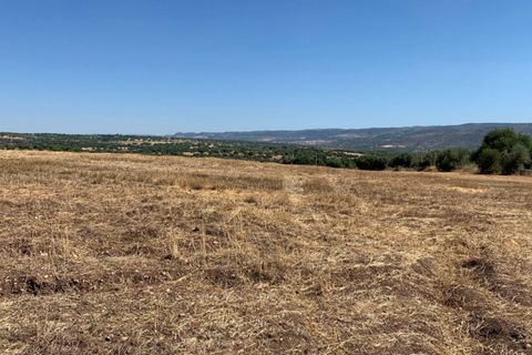Helårsgrund i Noto, Siracusa, Noto - € 1.000.000 | Ref: L 1758 A - foto 7