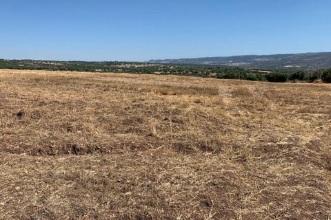 Helårsgrund i Noto, Siracusa, Noto - € 1.000.000 | Ref: L 1758 A - foto 8