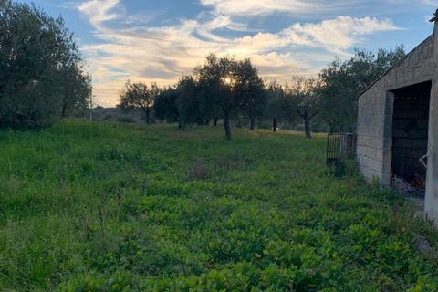 Villa i Modica, Ragusa, Modica - € 75.000 | Ref: L 1790 - foto 8