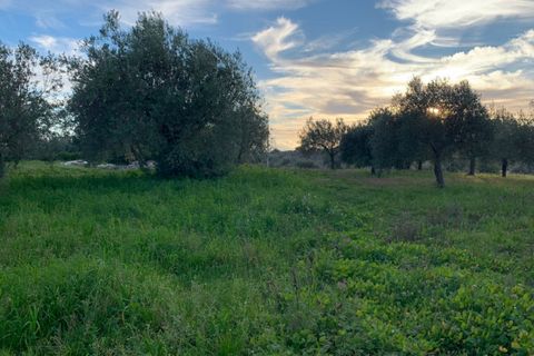 Villa i Modica, Ragusa, Modica - € 75.000 | Ref: L 1790 - foto 9