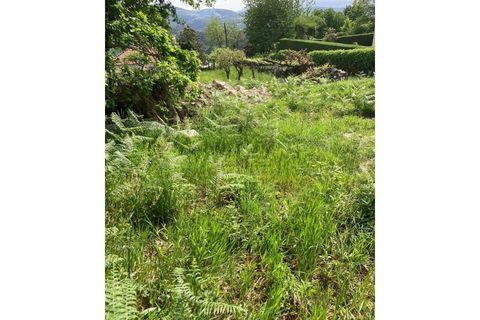 Terra a Formariz e Ferreira, Viana do Castelo, Formariz e Ferreira - € 77.500 | Ref: TC185 - foto 7