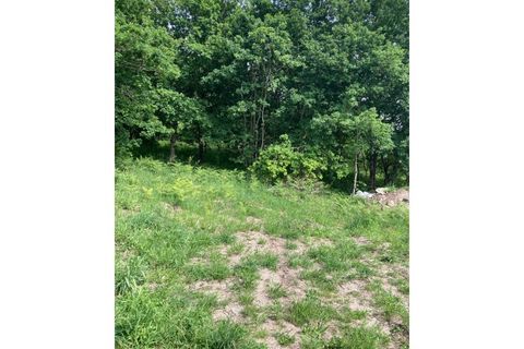 Terra a Formariz e Ferreira, Viana do Castelo, Formariz e Ferreira - € 77.500 | Ref: TC185 - foto 9