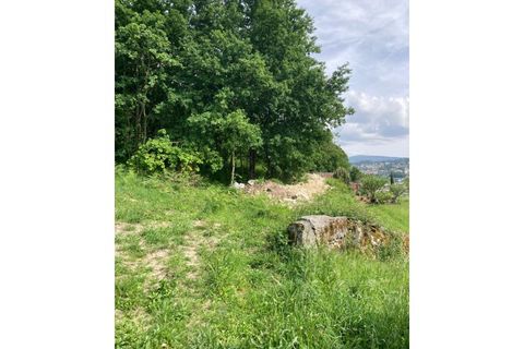 Terra a Formariz e Ferreira, Viana do Castelo, Formariz e Ferreira - € 77.500 | Ref: TC185 - foto 10