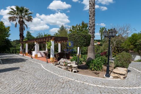 Farm hus i Bombarral, Leiria, Bombarral - € 1.750.000 | Ref: CAL-217105 - foto 9