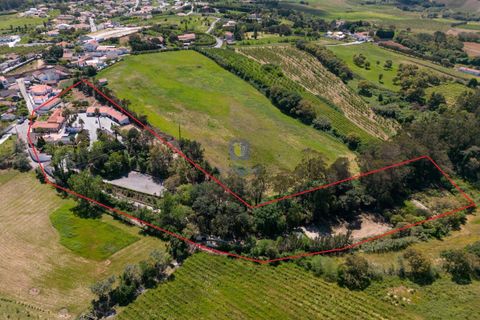 Villa i Bombarral, Leiria, Bombarral - € 1.750.000 | Ref: CAL-217106 - foto 2