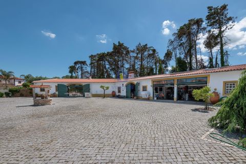 Villa i Bombarral, Leiria, Bombarral - € 1.750.000 | Ref: CAL-217106 - foto 7