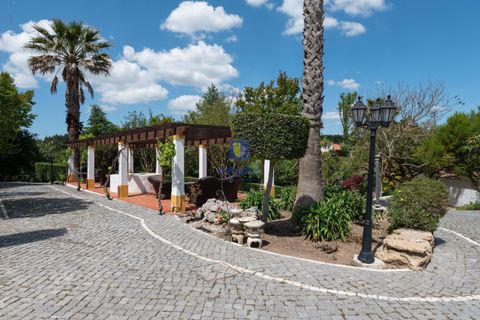 Villa i Bombarral, Leiria, Bombarral - € 1.750.000 | Ref: CAL-217106 - foto 8
