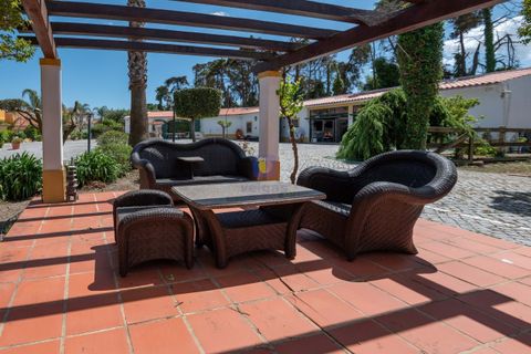Villa i Bombarral, Leiria, Bombarral - € 1.750.000 | Ref: CAL-217106 - foto 9