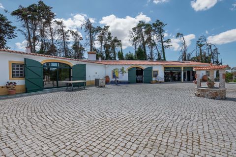 Villa i Bombarral, Leiria, Bombarral - € 1.750.000 | Ref: CAL-217106 - foto 32