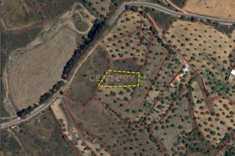 Helårsgrund i Castelo Branco, Castelo Branco, Castelo Branco - € 5.000 | Ref: C0434-01275 - foto 11