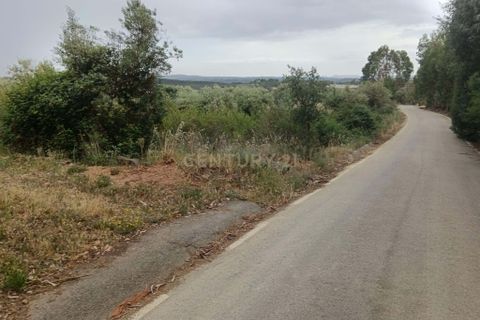 Helårsgrund i Castelo Branco, Castelo Branco, Castelo Branco - € 5.000 | Ref: C0434-01275 - foto 12