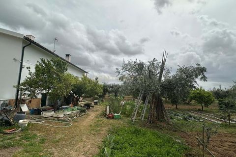 Villa a Idanha-a-Nova, Castelo Branco, Idanha-a-Nova - € 240.000 | Ref: C0434-01276 - foto 17