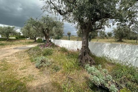 Villa a Idanha-a-Nova, Castelo Branco, Idanha-a-Nova - € 240.000 | Ref: C0434-01276 - foto 18
