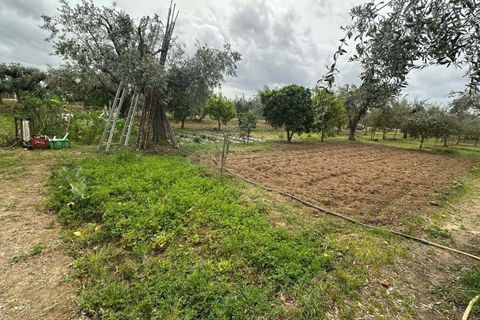 Villa a Idanha-a-Nova, Castelo Branco, Idanha-a-Nova - € 240.000 | Ref: C0434-01276 - foto 19