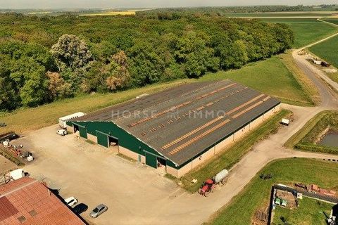 Erhvervsejendom i Chantilly, Oise, Chantilly - € 2.500.000 | Ref: 2804-ANG - foto 3