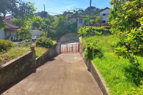 Villa a Sever do Vouga, Aveiro, Sever do Vouga - € 200.000 | Ref: HAB_68 - foto 27