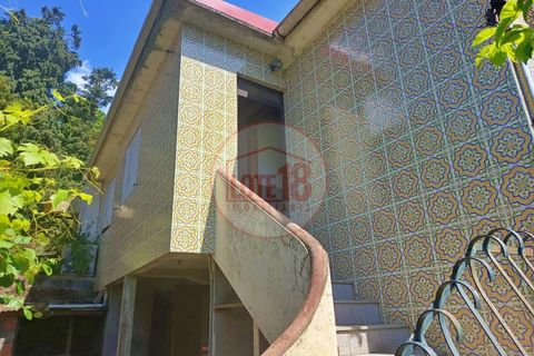 Villa a Sever do Vouga, Aveiro, Sever do Vouga - € 200.000 | Ref: HAB_68 - foto 31