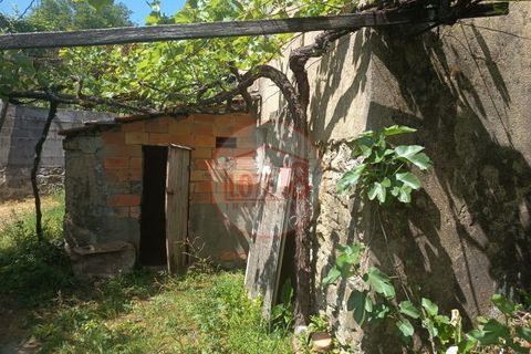 Villa i Sever do Vouga, Aveiro, Sever do Vouga - € 120.000 | Ref: HAB_69 - foto 5