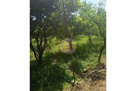 Villa i Sever do Vouga, Aveiro, Sever do Vouga - € 120.000 | Ref: HAB_69 - foto 8