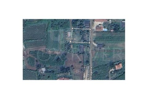 Helårsgrund i Bela, Viana do Castelo, Bela - € 59.500 | Ref: UNU-F1-09-5 - foto 2