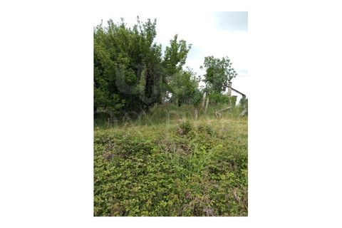 Helårsgrund i Bela, Viana do Castelo, Bela - € 59.500 | Ref: UNU-F1-09-5 - foto 5
