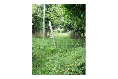 Helårsgrund i Bela, Viana do Castelo, Bela - € 59.500 | Ref: UNU-F1-09-5 - foto 7