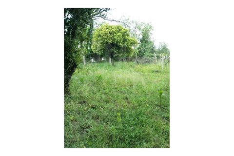Helårsgrund i Bela, Viana do Castelo, Bela - € 59.500 | Ref: UNU-F1-09-5 - foto 8