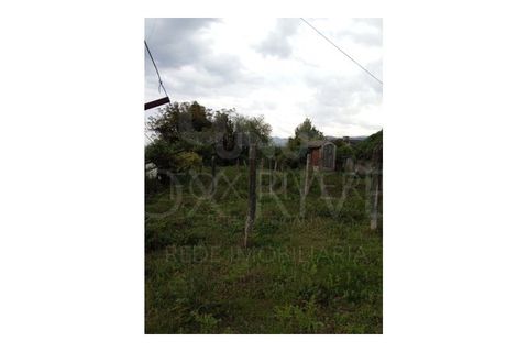 Helårsgrund i Bela, Viana do Castelo, Bela - € 59.500 | Ref: UNU-F1-09-5 - foto 9