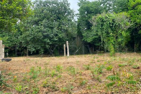 Helårsgrund i Bela, Viana do Castelo, Bela - € 59.500 | Ref: UNU-F1-09-5 - foto 1