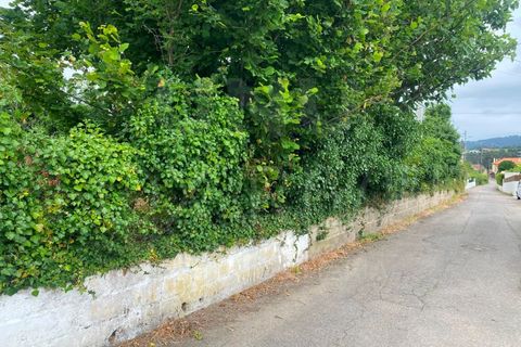 Helårsgrund i Bela, Viana do Castelo, Bela - € 59.500 | Ref: UNU-F1-09-5 - foto 11