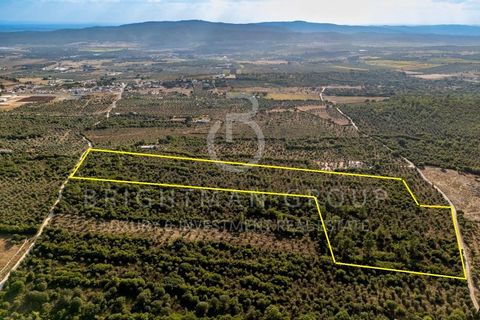 Grond in Borba, Evora, Borba - € 1.300.000 | Ref: T0331.RF.ES - foto 3