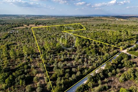 Grond in Borba, Evora, Borba - € 1.300.000 | Ref: T0331.RF.ES - foto 4