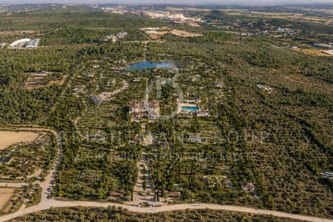 Grond in Borba, Evora, Borba - € 1.300.000 | Ref: T0331.RF.ES - foto 5