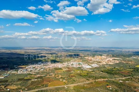 Grond in Borba, Evora, Borba - € 1.300.000 | Ref: T0331.RF.ES - foto 14