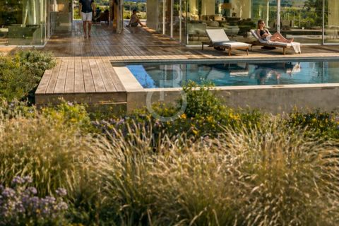 Grond in Borba, Evora, Borba - € 1.300.000 | Ref: T0331.RF.ES - foto 16
