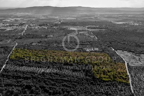 Grond in Borba, Evora, Borba - € 1.300.000 | Ref: T0331.RF.ES - foto 22