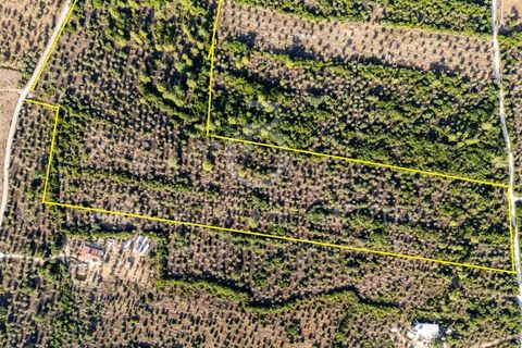 Grond in Borba, Evora, Borba - € 1.300.000 | Ref: T0331.RF.ES - foto 25