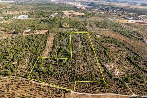 Grond in Borba, Evora, Borba - € 1.300.000 | Ref: T0331.RF.ES - foto 28