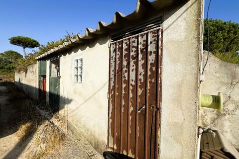 Villa i Mafra, Lisbon, Mafra - € 449.500 | Ref: MF003-26 - foto 25