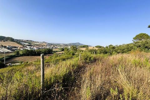 Villa i Mafra, Lisbon, Mafra - € 449.500 | Ref: MF003-26 - foto 30