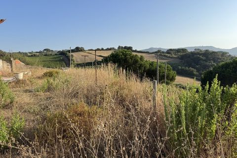 Villa i Mafra, Lisbon, Mafra - € 449.500 | Ref: MF003-26 - foto 33